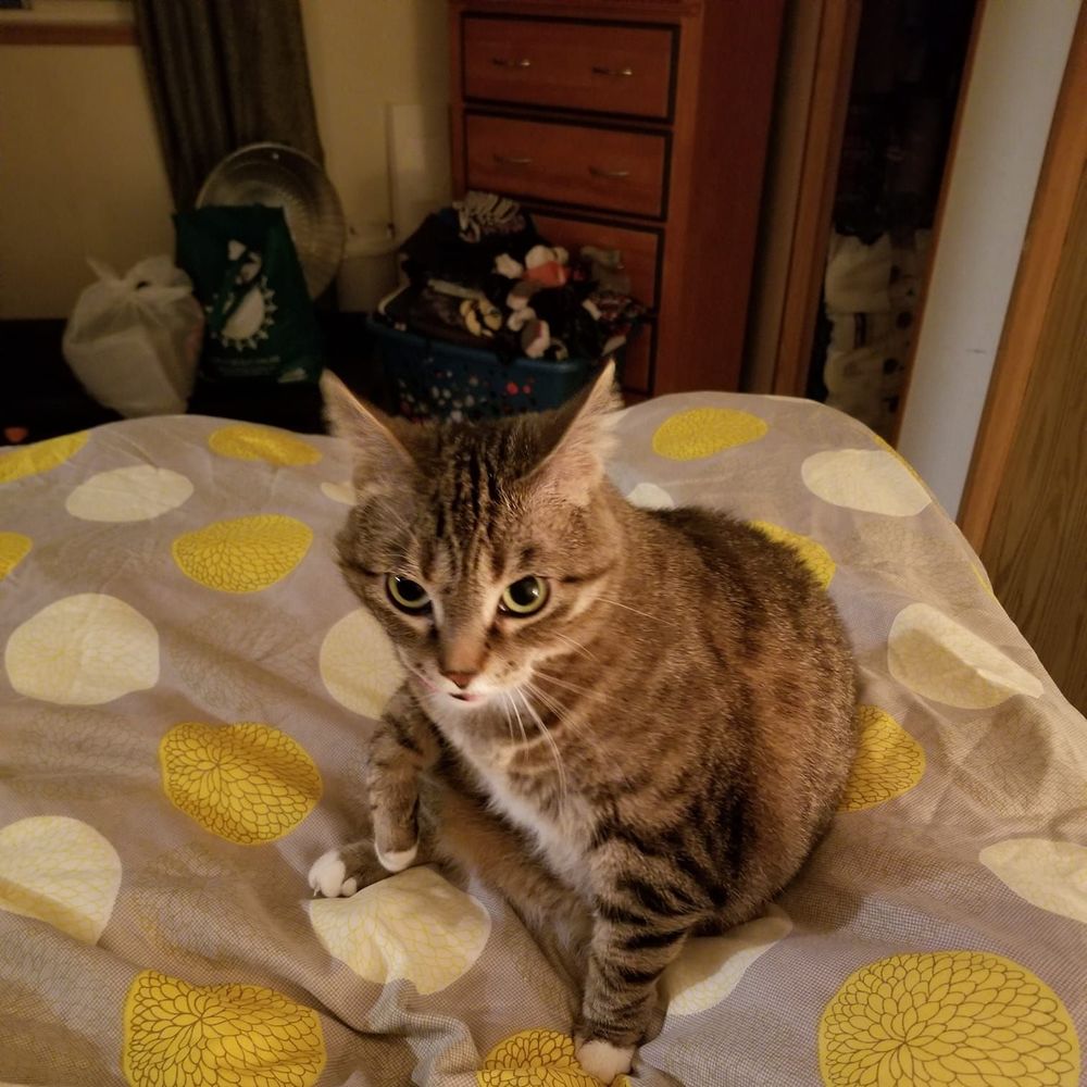 Meet your Posher, Wanda